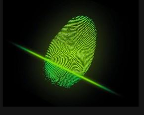 Malitech Logo